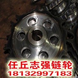 上海供應(yīng)雙排鏈輪滾子鏈輪雙排鏈輪廠 任丘市志強(qiáng)齒輪廠 鏈輪